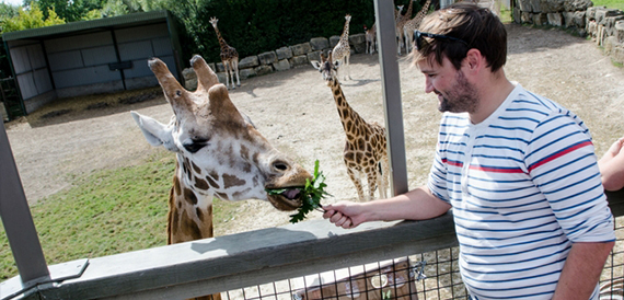 Longleat