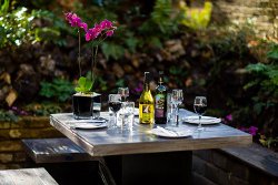 De Morgan House opens new garden for Summer events